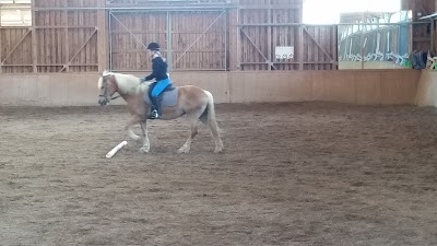 Photos of Der Ponyhof Familienhotel & Reitstall