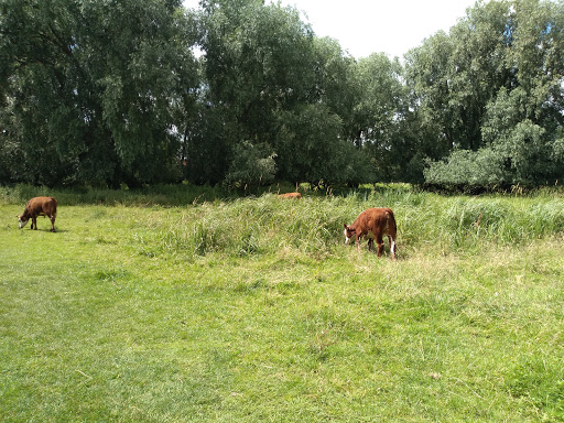 Framlingham Mere - Visual