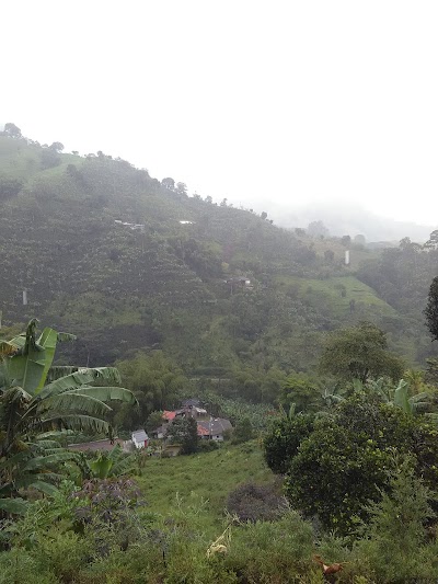 Photos of Chaguala