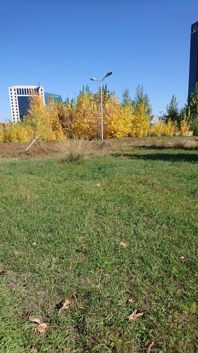 Photos of The Museum of the Bogd Khaan