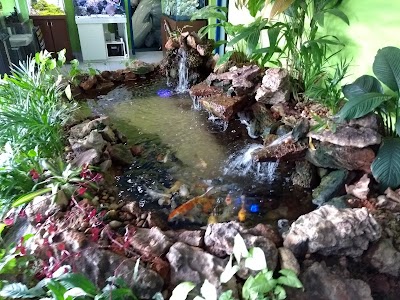 Photos of Aquarius Hobby
