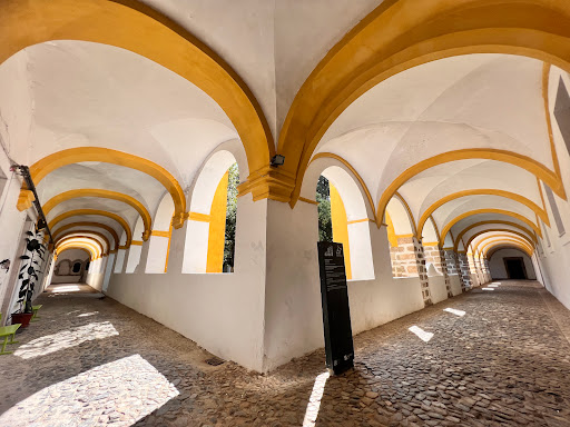 Sinagoga Velha - Thumbnail