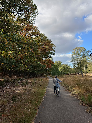 Schaarsbergen, Viersprong - Thumbnail