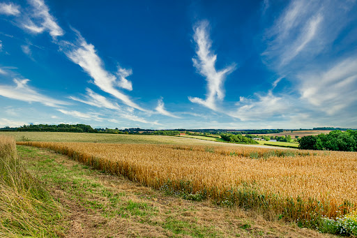 Chesterton Windmill - Visual
