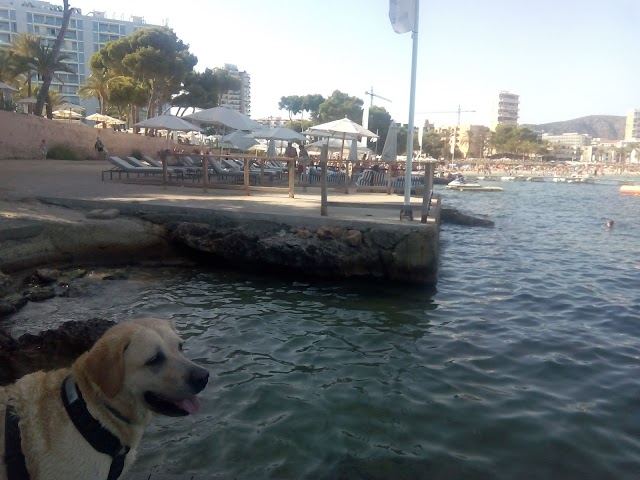 Bar Chaval - Beach Club