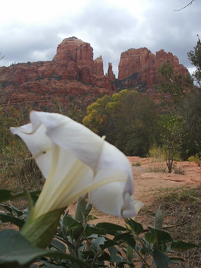 Cathedral Rock