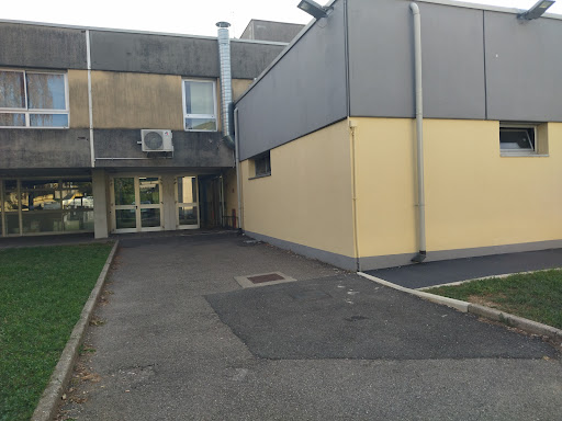 PalaSvo - Visual