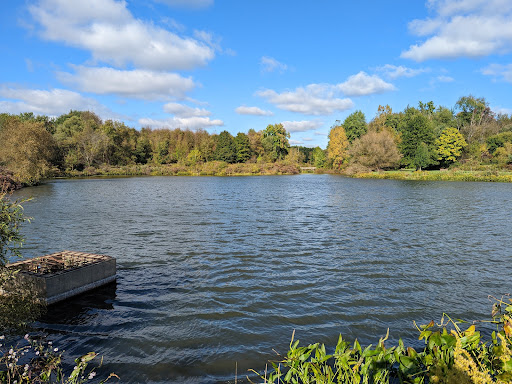 Buckeye Woods Park - Thumbnail