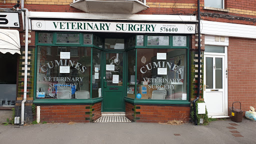 Medivet Llandaff North - Thumbnail
