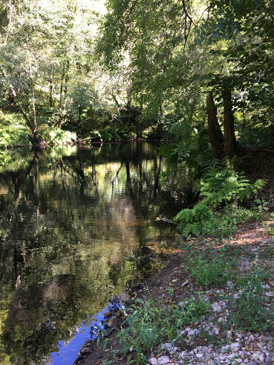 Seoane - Visual