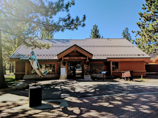 Pine Glen Group Campground Logo
