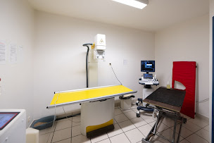 Photo n°6 de Clinique Vétérinaire Argos Biscarrosse à Biscarrosse (Vétérinaire)