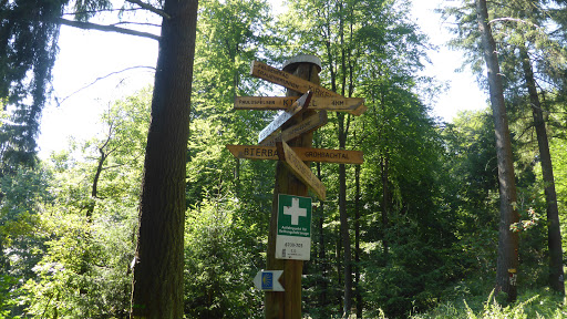 Siebenfichten - Visual