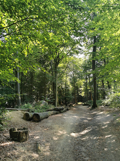 Campingplatz Dörenther Klippen - Thumbnail