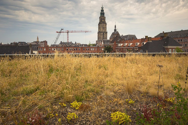 Beoordelingen van H.N. Werkman Stadslyceum in Groningen - School