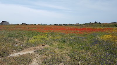 Photos of Le Dune Beach