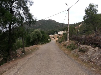 Photos of Sidi Ali Osaid Mosque