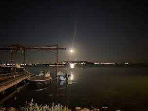 Photo n°35 de Mas Blais coquillages à Loupian (Restaurant de fruits de mer)