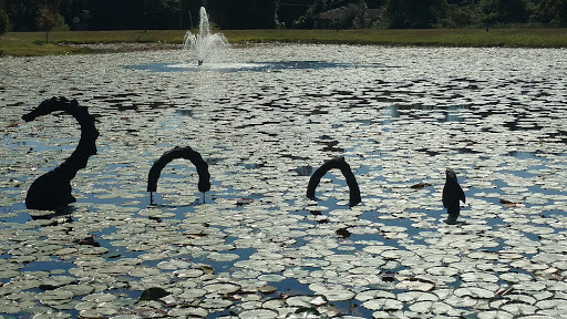 George Sands Park Gallery - United States