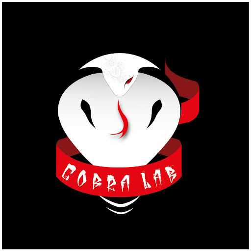 COBRA LAB Gallery - Italy