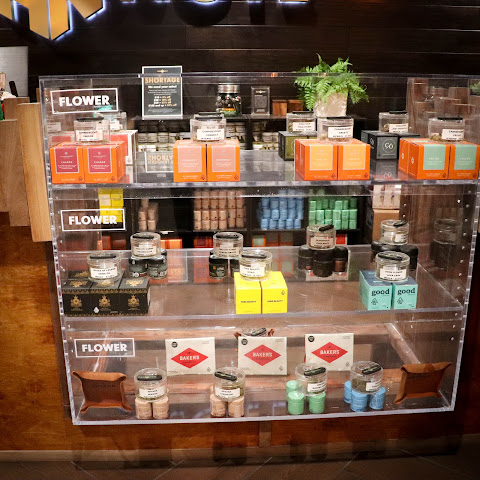 The High Note by null