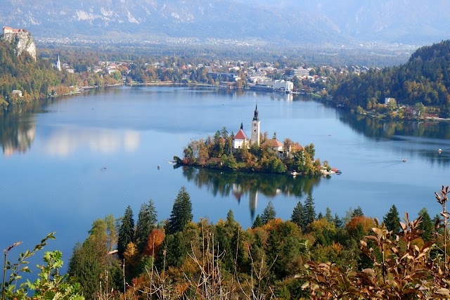 Bled