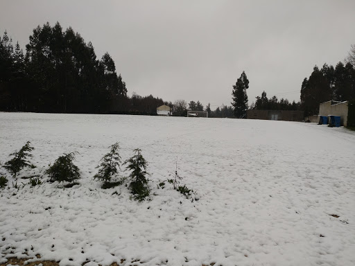 Campo de fútbol Celso Lamas