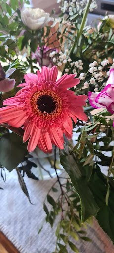 Floristik 99 GmbH