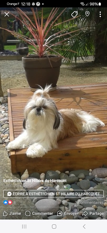 Esthéti'Chien