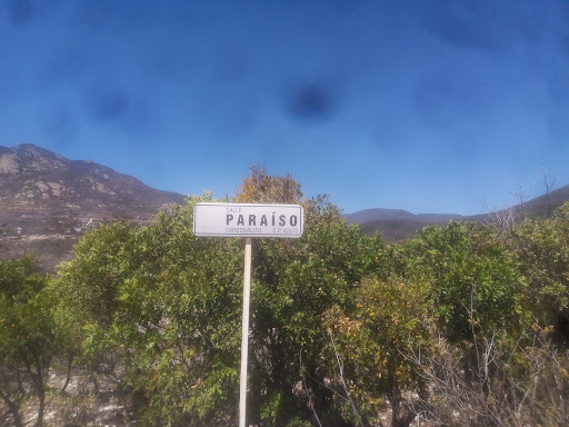 Cardonalito - Visual