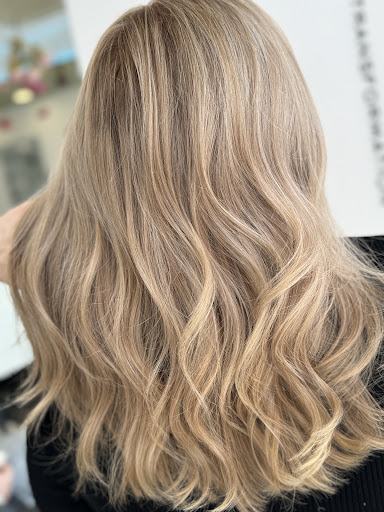 Hair Discovery Professional