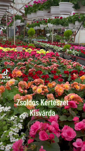 Nyitvatartás: Zsoldos Kertészet Kisvárda