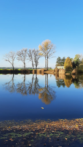 Uebigauer Baggerteich - Visual