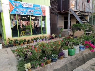 Photos of Toko Badannu