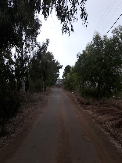 Photos of Deir Al Zahrani - Supermarket