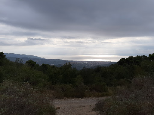 View Point Merea - Visual