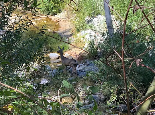 Oakwilde Campground