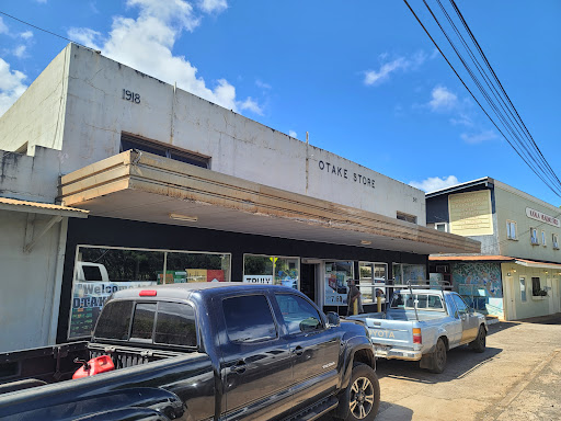 T Otake & Sons Ltd