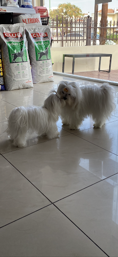 ΑΡΕΤΗ ΜΑΚΡΗ ΚΤΗΝΙΑΤΡΕΙΟ ΛΑΡΙΣΑ - Κτηνίατρος