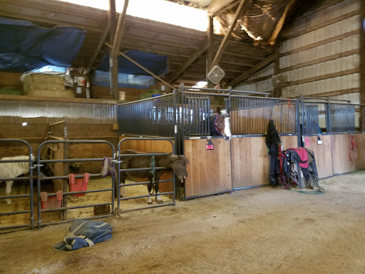 Brokenridge Stables - Visual