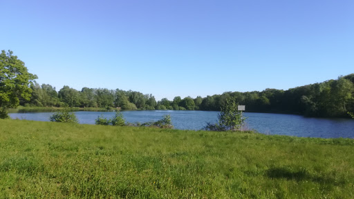 Sohl - Fischgleite - Thumbnail