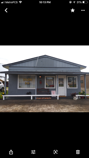 Salon 219 - Visual