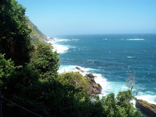 Tsitsikamma National Park