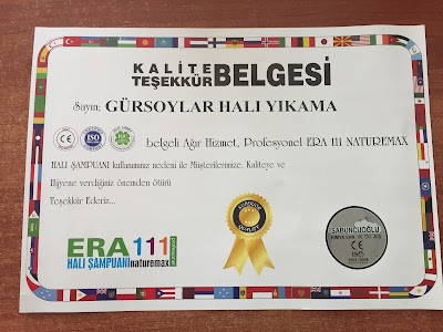 GÜRSOYLAR HALI YORGAN VE KOLTUK YIKAMA FABRİKASI LTD.ŞTİ