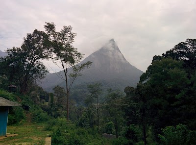 Photos of Meemure Forest Lodge