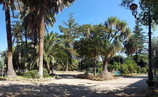 Municipal park - Botanical garden "Umberto I"