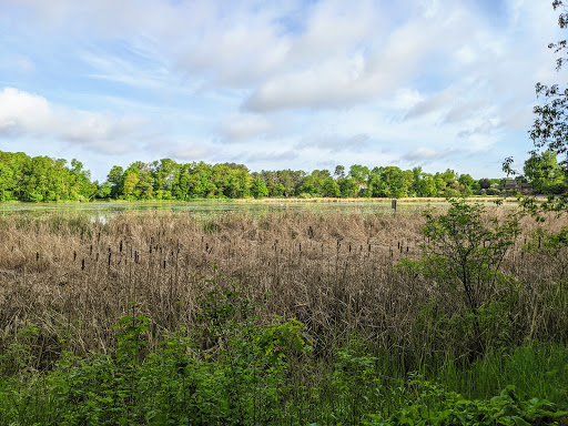 Lake Camelot Park Gallery - United States