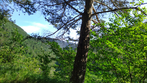 Camping Masia la Bauma - Thumbnail
