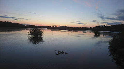 Ledsham Bank nature reserve - Thumbnail