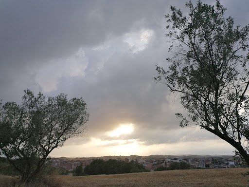 Mirador Camí Can Tiraries